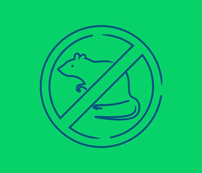 Green background with a black outline of a rat inside a prohibition symbol, indicating no rats allowed.